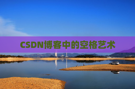 CSDN博客中的空格艺术